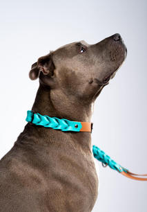 Hundehalsband - Biothane - Geflochten - zweifärbig - Colori - Amstaff