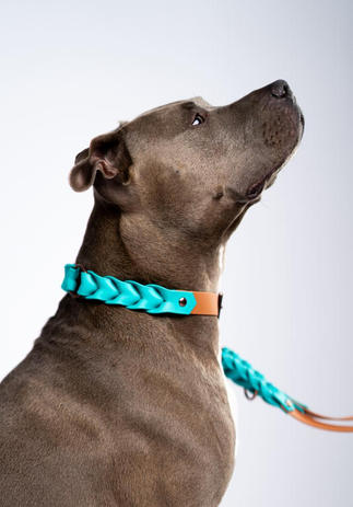 Hundehalsband - Biothane - Geflochten - zweifärbig - Colori - Amstaff