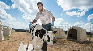 Mississippi State University On the Farm: Film Guide