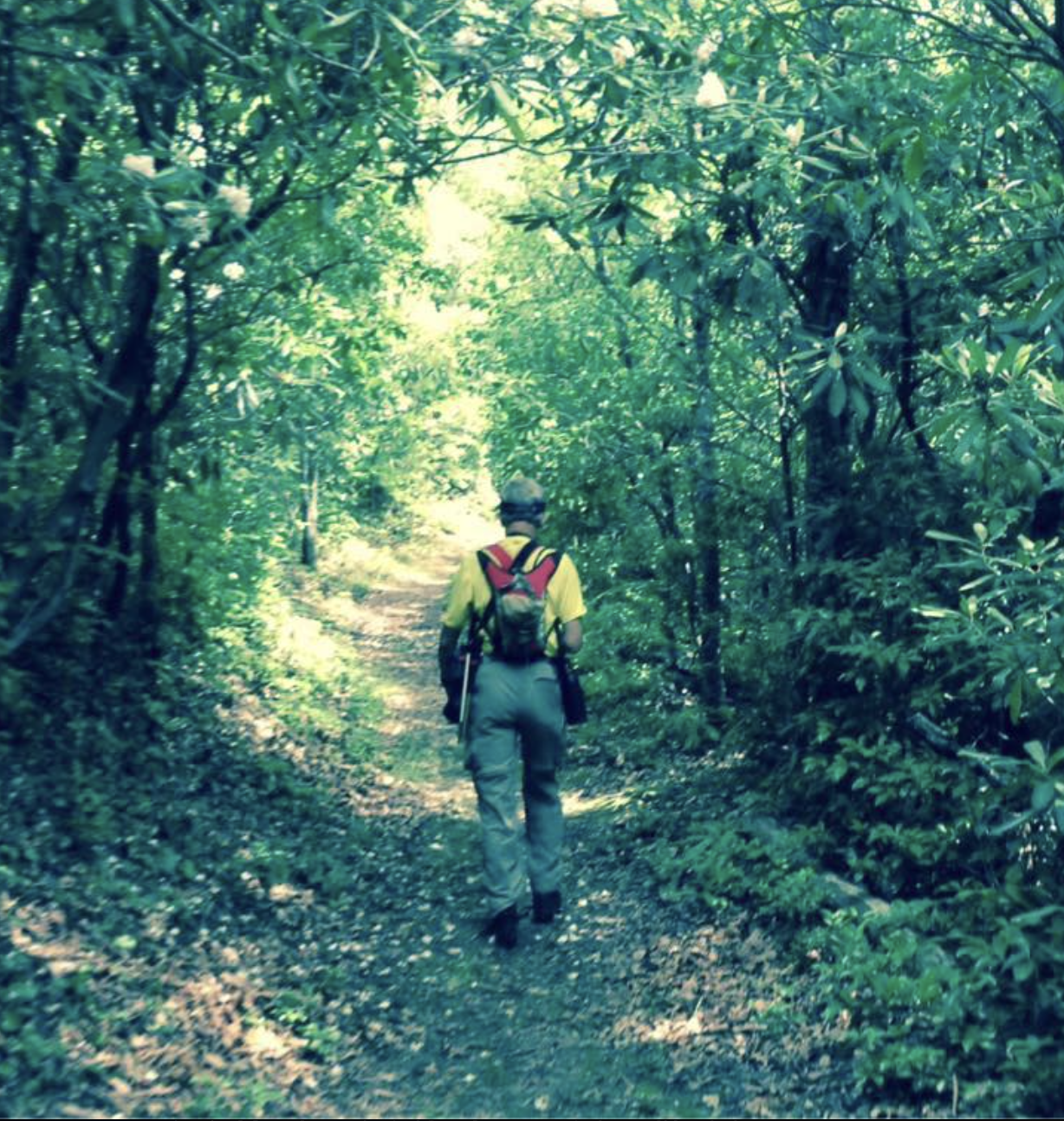 Screenshot 2025-09-11 at 4.11.38 PM.png