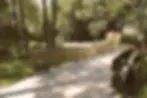 Park2.webp
