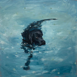 Doggy Paddle