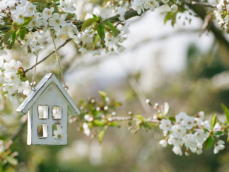 Spring Roof Maintenance