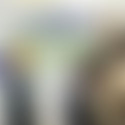 [VIDÉO] Une nouvelle bibliothèque dans un écrin de verdure