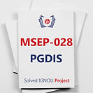 MSEP-028: A Study of Risk Management in Information Security (PGDIS)