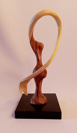 Cálida Voluta 3.jpg