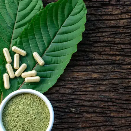 Louisiana Parishes Debate Ban on Kratom Over Fear of Increased Drug Addiction