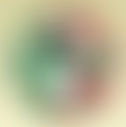 Discover the Hidden Italian Influence on Louisiana's Culture