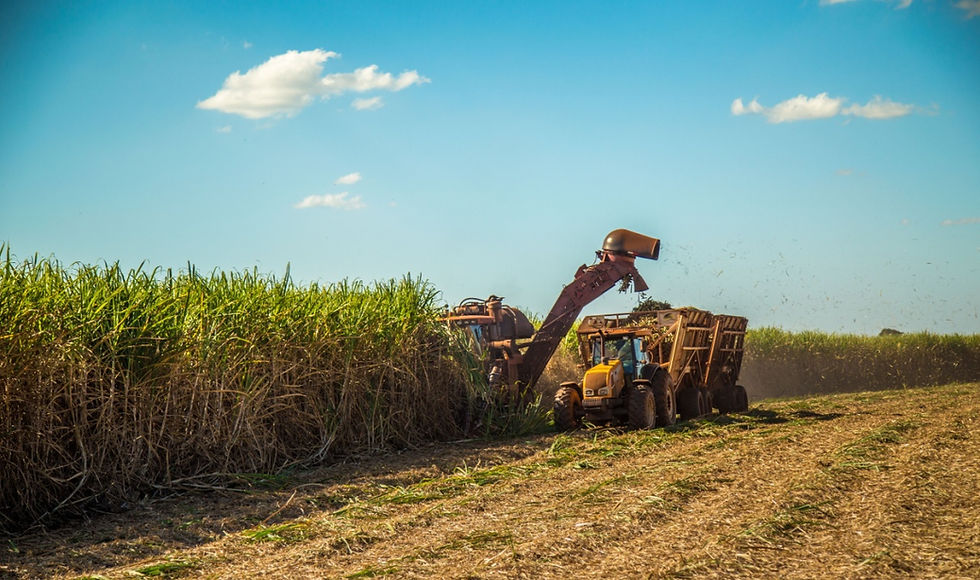 Louisiana Farmers Face a Credit Crunch Fueled by Uncertainty in Both Policy and Markets