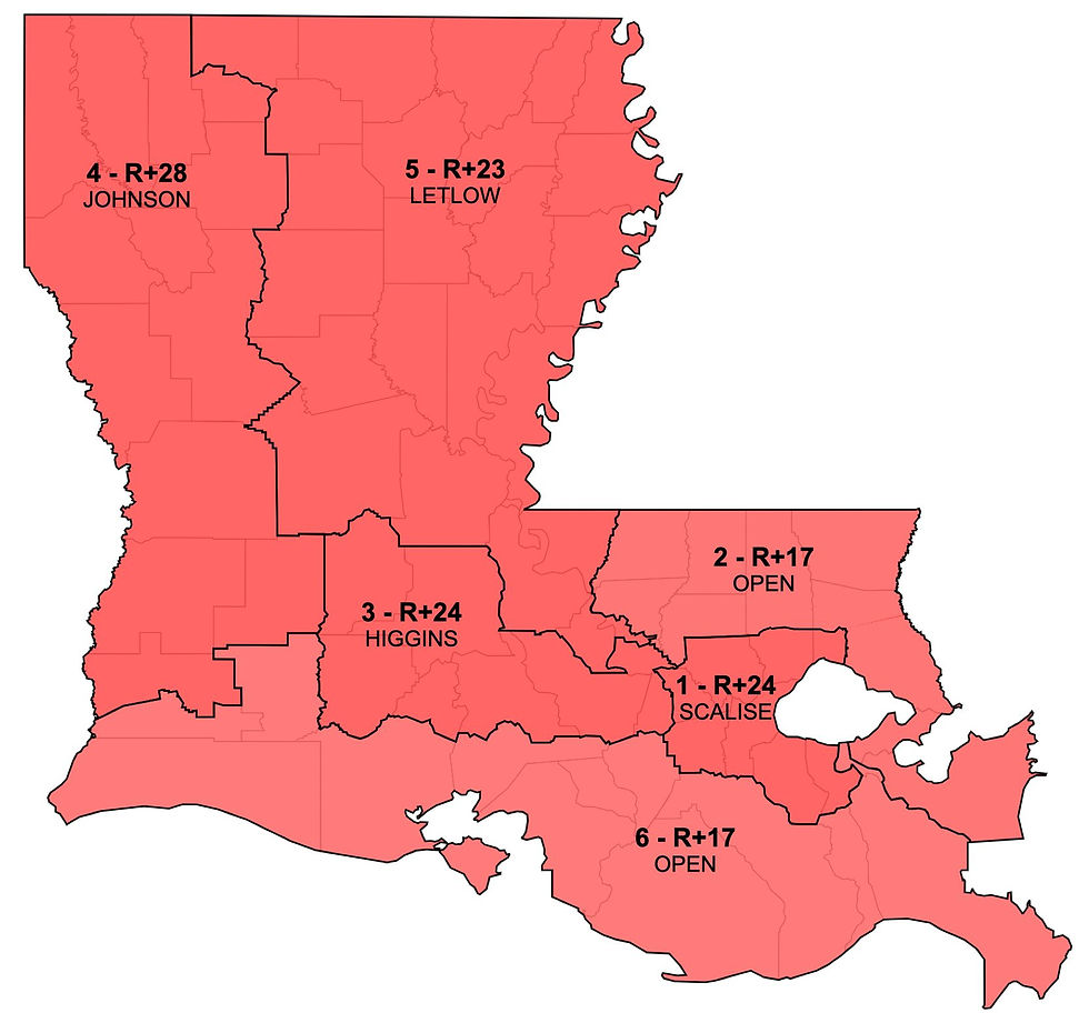 The Math Behind the Sweep: Louisiana's Redistricting Gamble