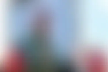 Louisiana wildlife secretary joins President Trump administration in key immigration role