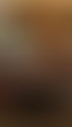 2023 Elves Market Success!