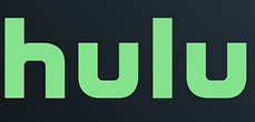 Screenshot 2024-06-06 at 16-06-07 hulu - Google Search.png