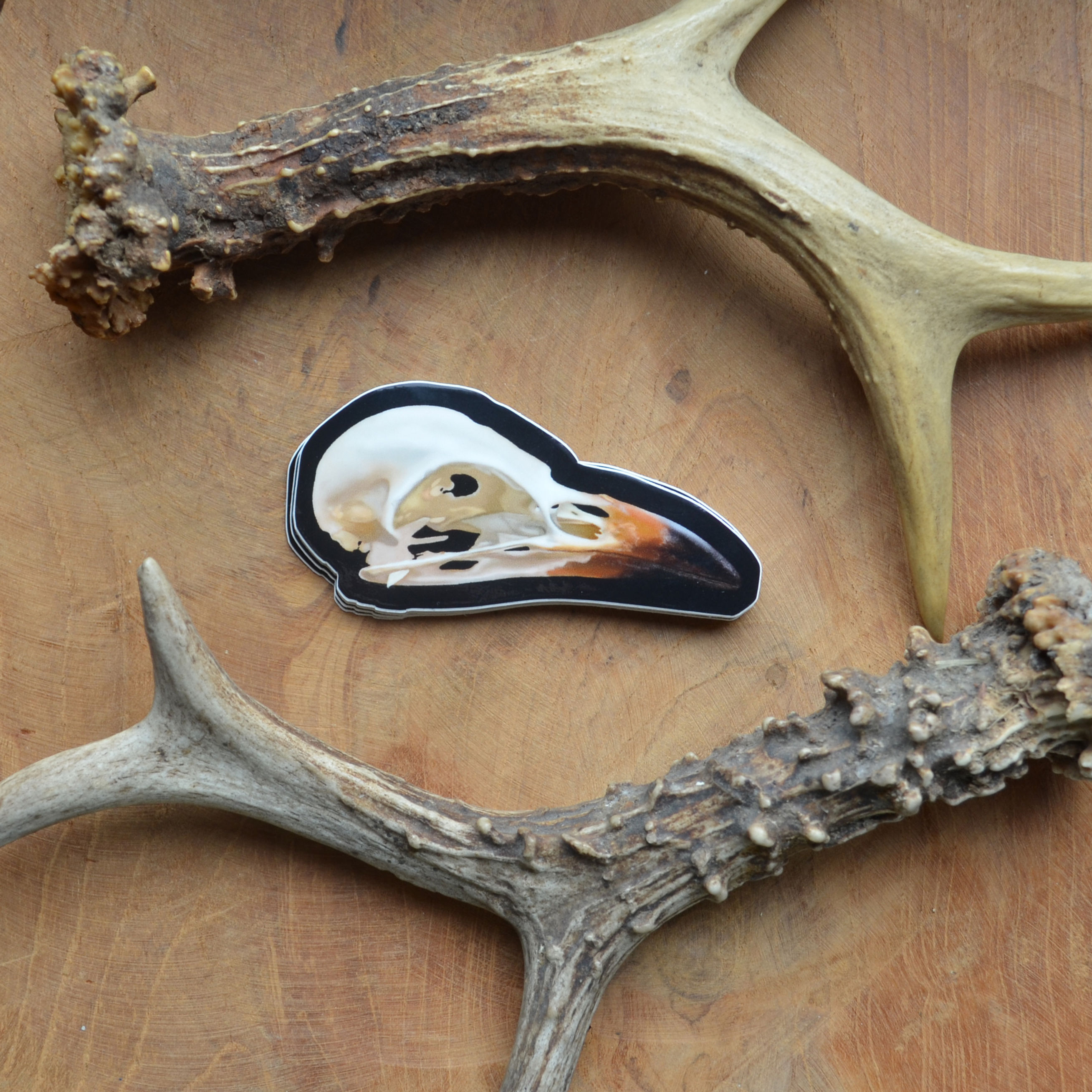 Sticker Vogelschädel