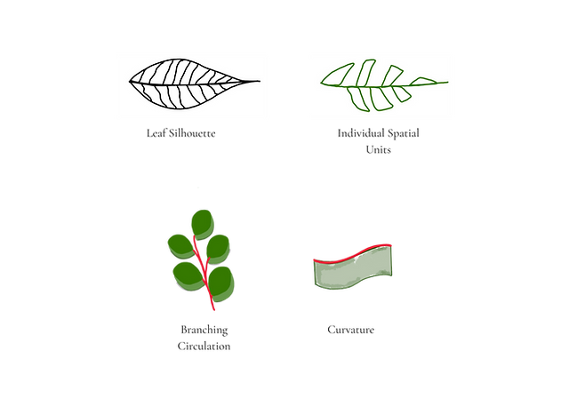 CONCEPT (3).png