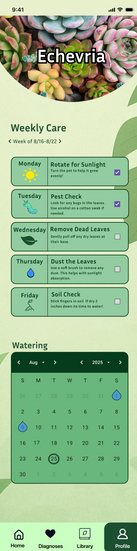 Screenshot 2025-07-31 232841