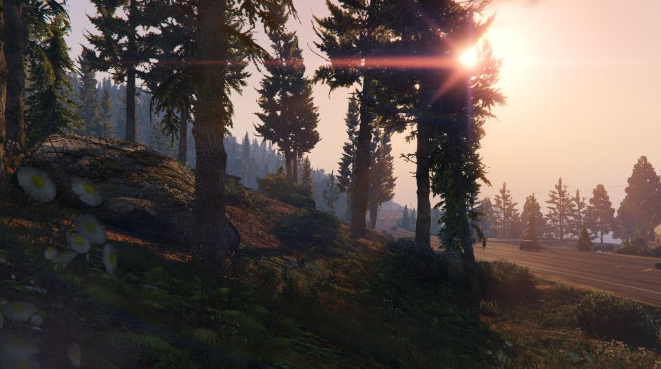 GTA 5 Online - Paleto Forest