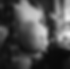 79C47FBA-B524-4D5F-8C37-A41532AF9A0B.heic