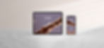wix banner sane.jpg