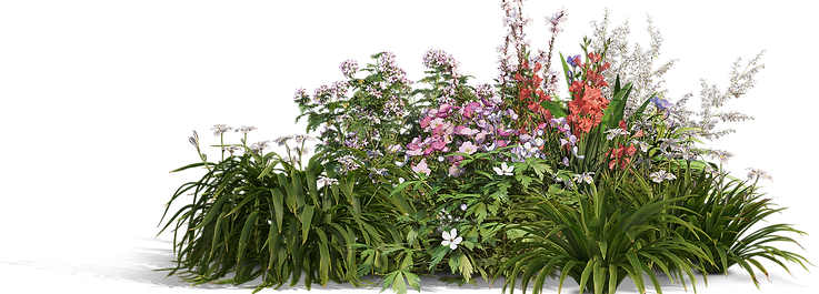 flowers_TM_2.png