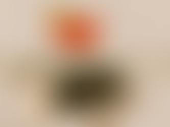 Catering Meets Class with Our Signature Rentals