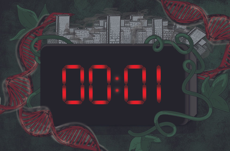 editorial illustration