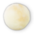 COCCO