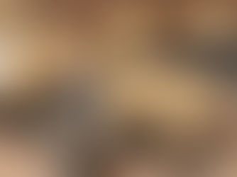 Fai attenzione al cibo: il tuo animale domestico non mangia tutto!