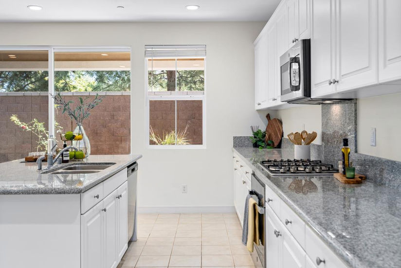 The Modern Meadow - Staging project