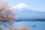 Lake Kawaguchi Spring North Shore