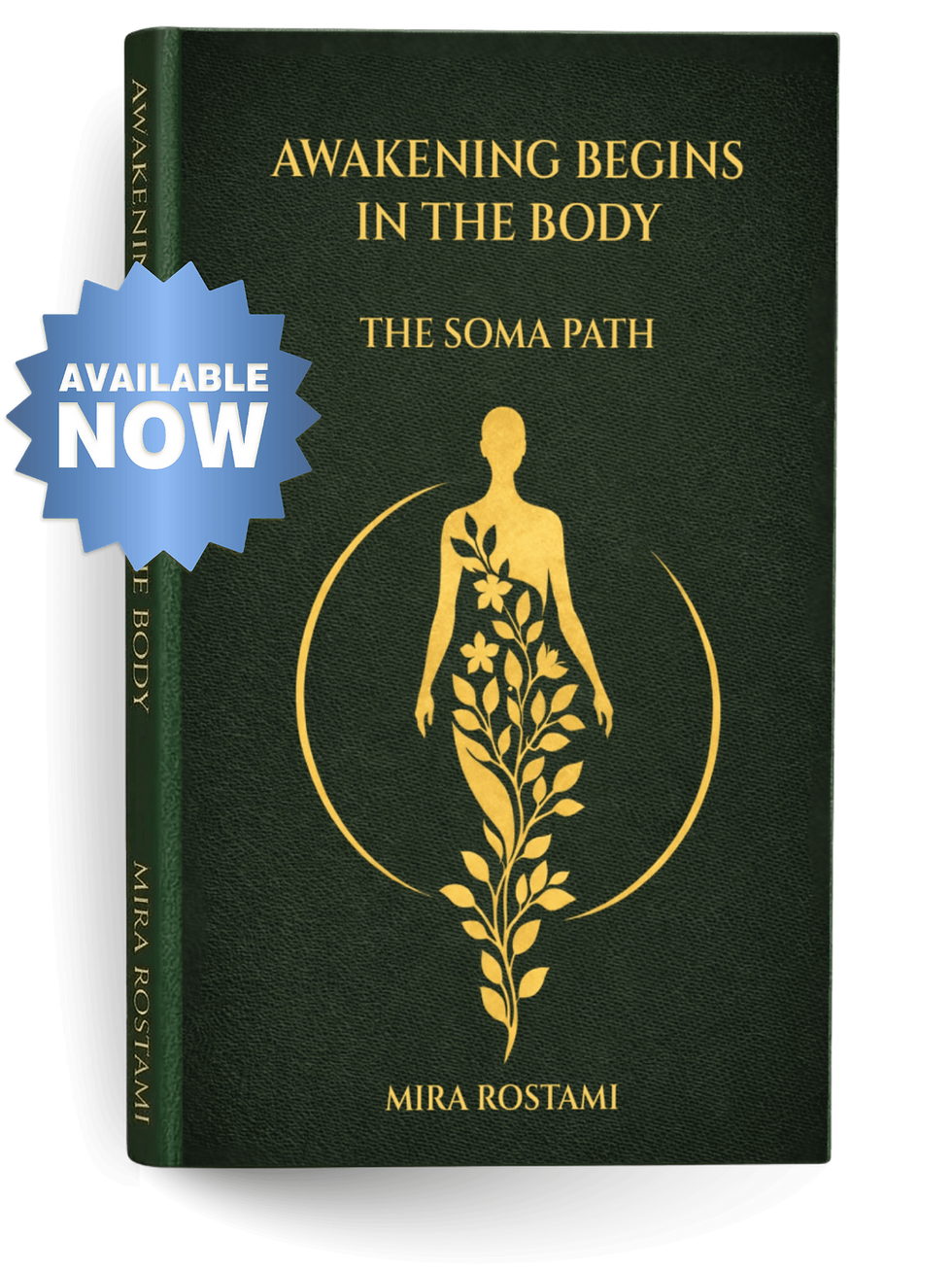Awakening Begins In The Body Shadow- Newpng (1).png