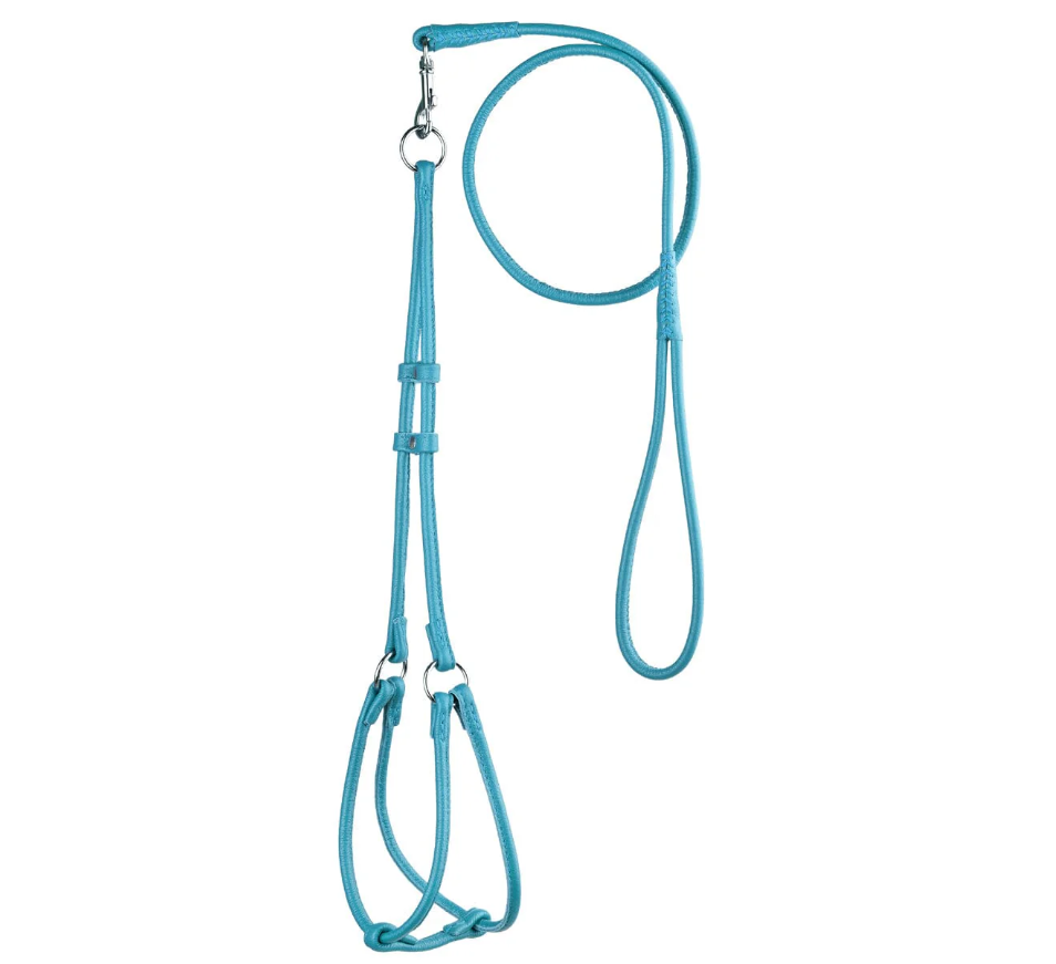 Miniatura: Arnés de cuero redondo suave con correa