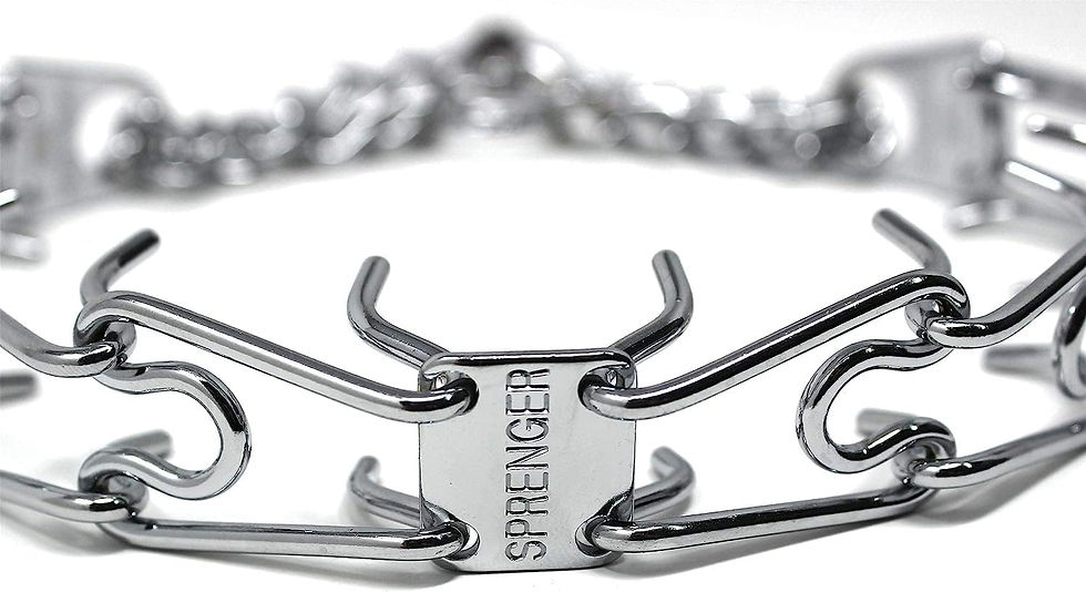 Miniatura: Sprenger Collar De Adiestramiento Para Perros Con Púas  (girar)