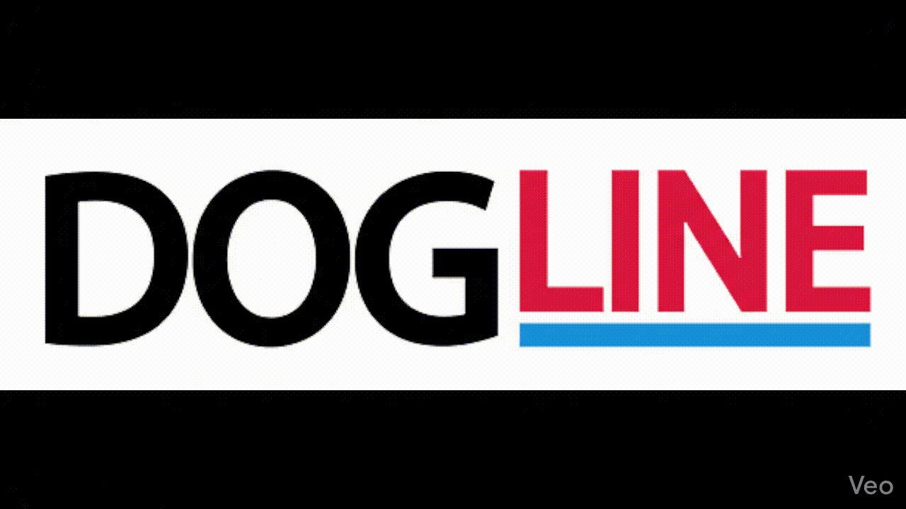 Fábrica de producción de collares y correas para perros en México