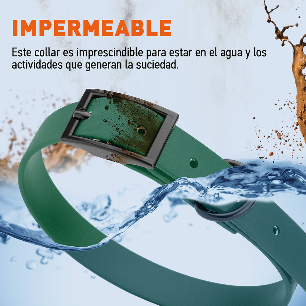 Miniatura: BioThane® Collar