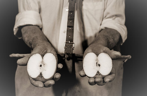 Hidden Orchard publicity image.jpg
