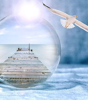 WhatsApp Image 2023-02-22 at 10.42_edited.jpg