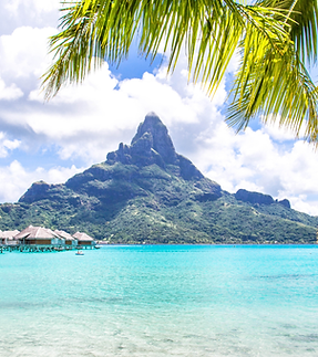 Design sans titre-2.png