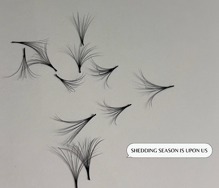 SHEDDING SEASON IS UPON US.png
