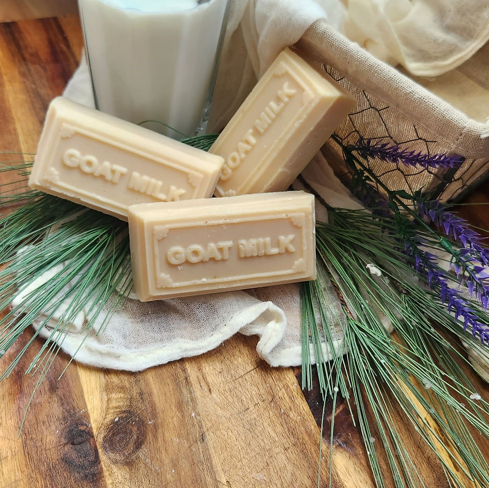 Goat milk soap no color or scent