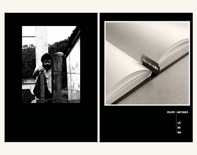 album-livro lamina.png