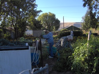 Garden work