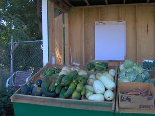Garden Produce