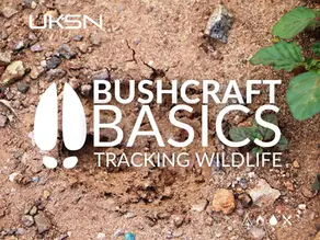 UKSN Bushcraft Basics: Tracking Wildlife