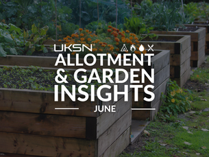 Allotment & Gardening in June: Abundance and Attention