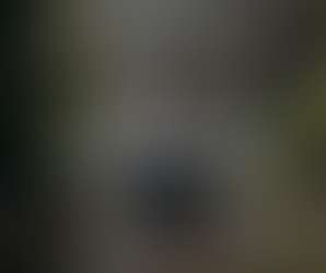 Seasonal Outdoor Activities: Making the Most of the Great British Seasons