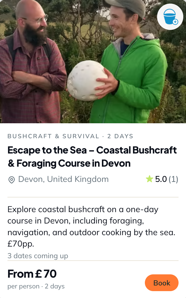 Escape to the sea - devon