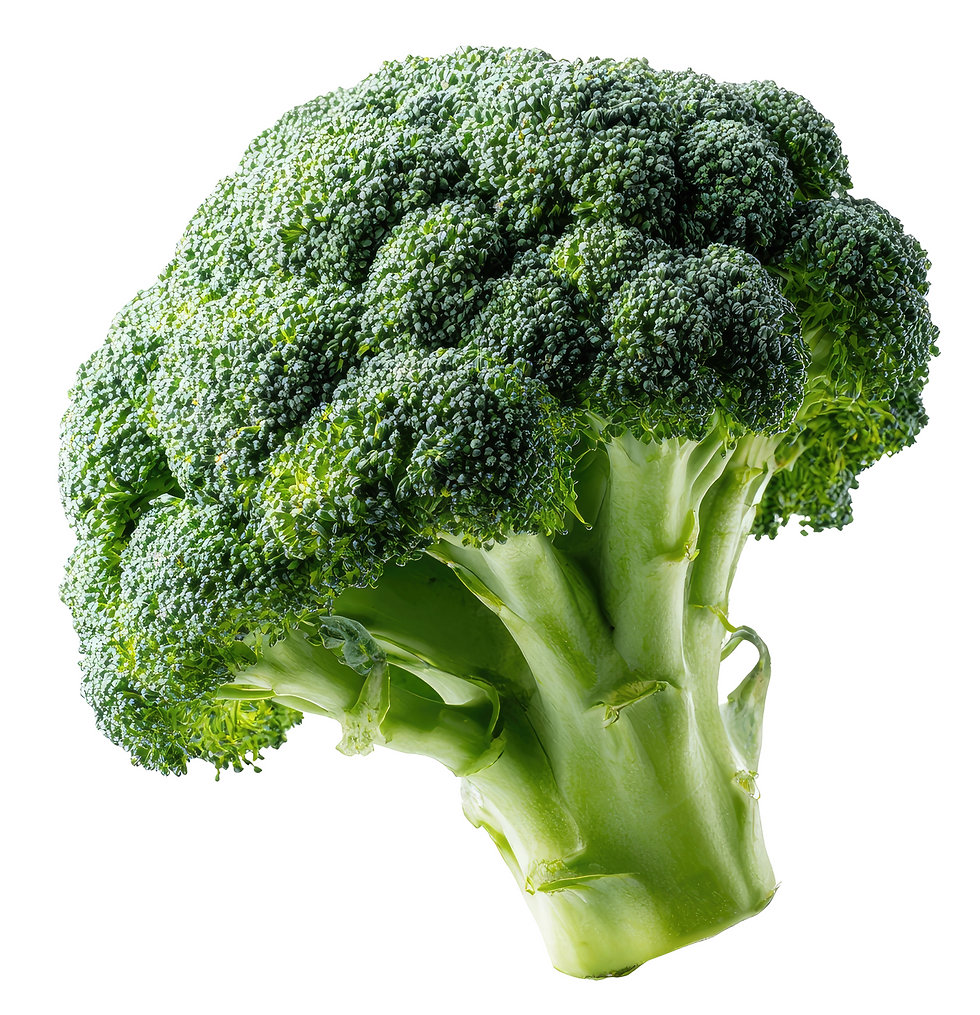 Broccoli