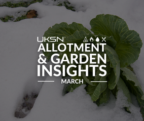 Allotment & Gardening in March: Spring Awakens