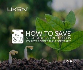 How to Save Vegetable and Fruit Seeds: Collect, Clean and Store Them for Years